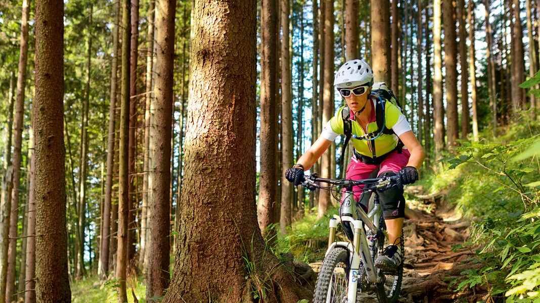 Maximum performance from suspension fork and shock absorber