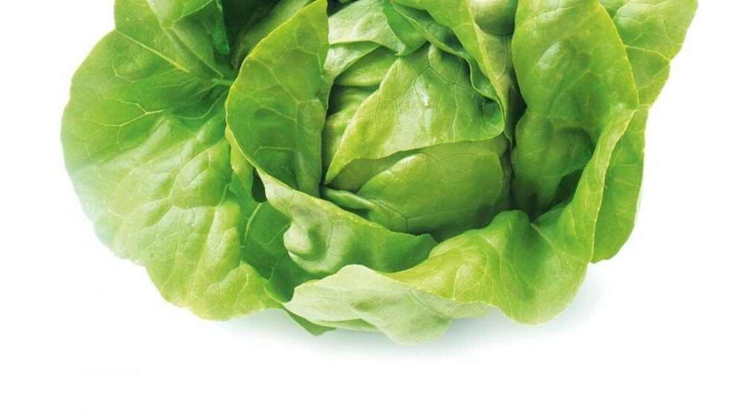 The 10 best tips against winter fat