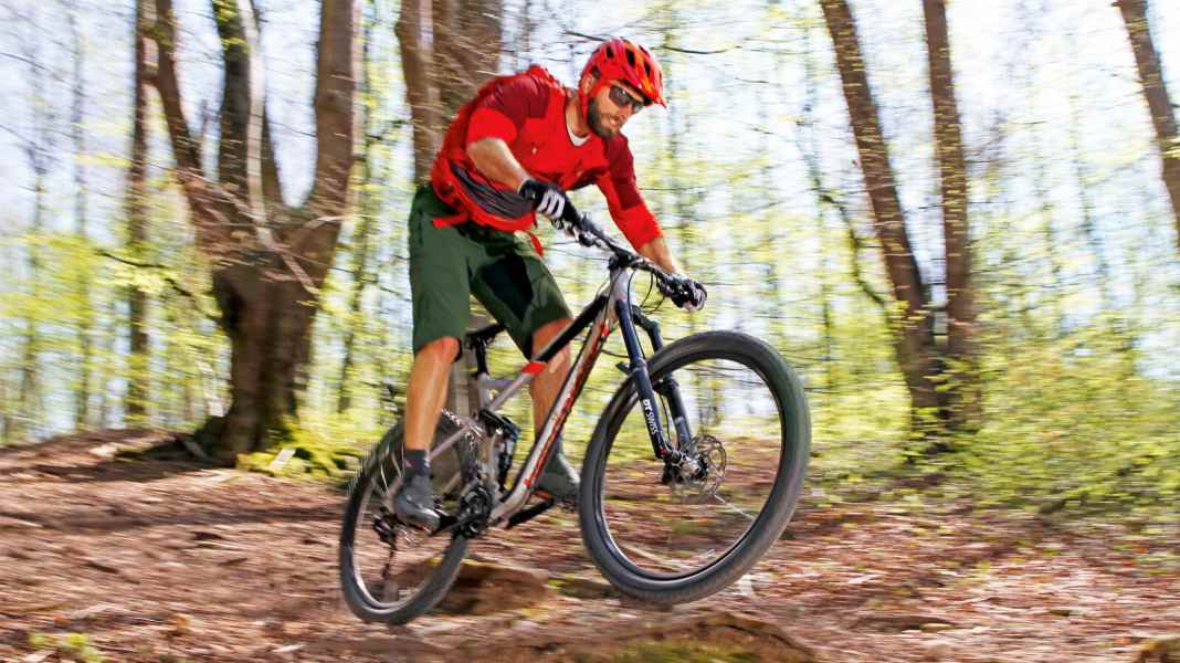 Trailcheck: Bergamont Trailster 8.0 individual test