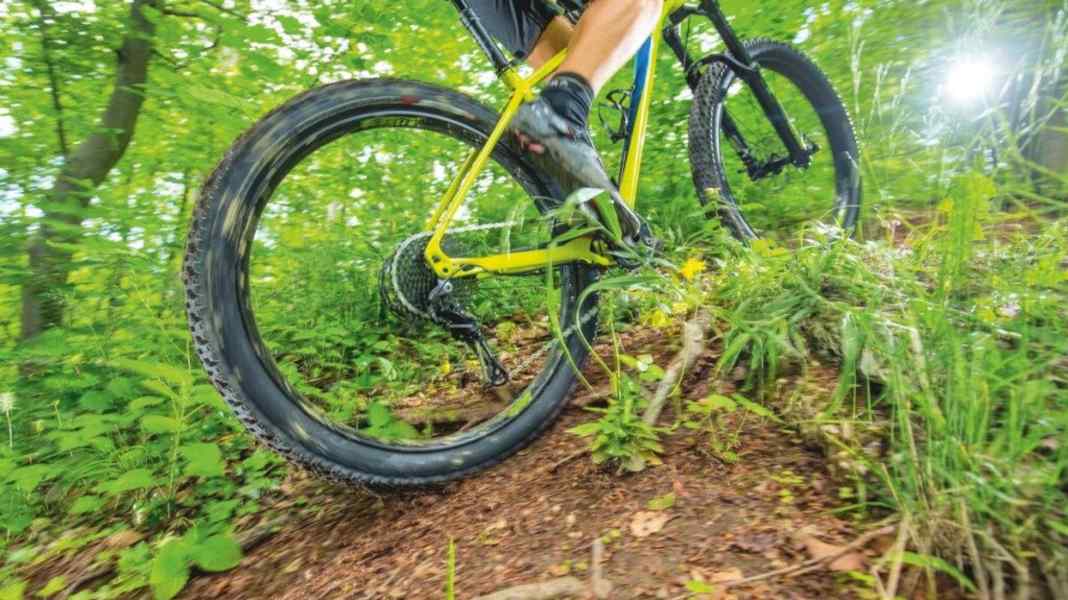 Plus tyres: Better traction, more grip when biking