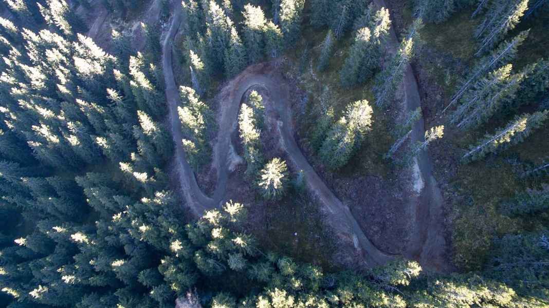 Saalfelden Leogang: flow trail for pure MTB pleasure