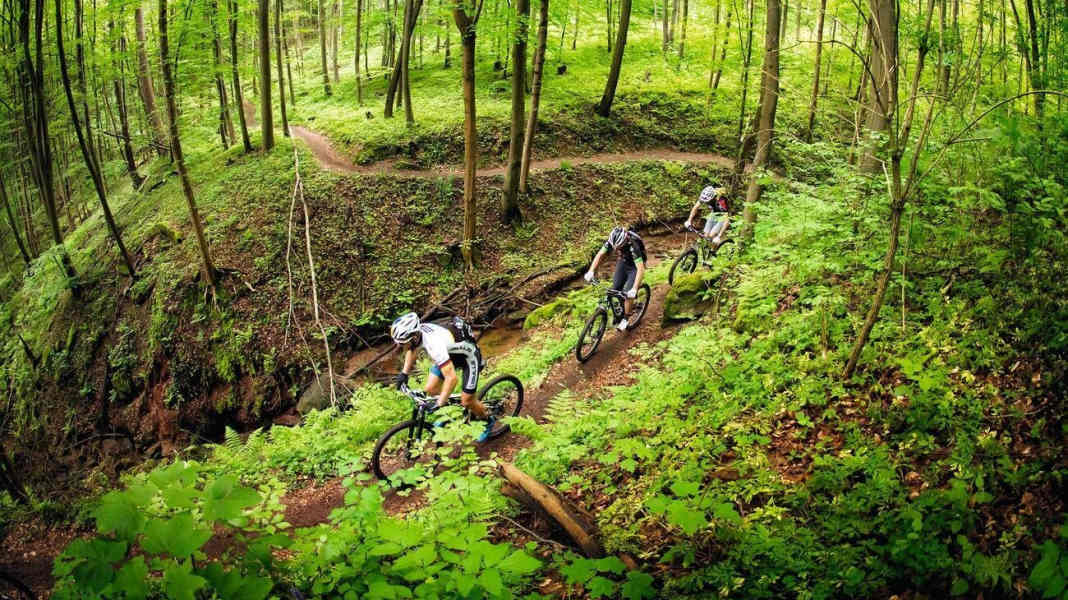 The 7 longest MTB trails in Germany [GPS data]