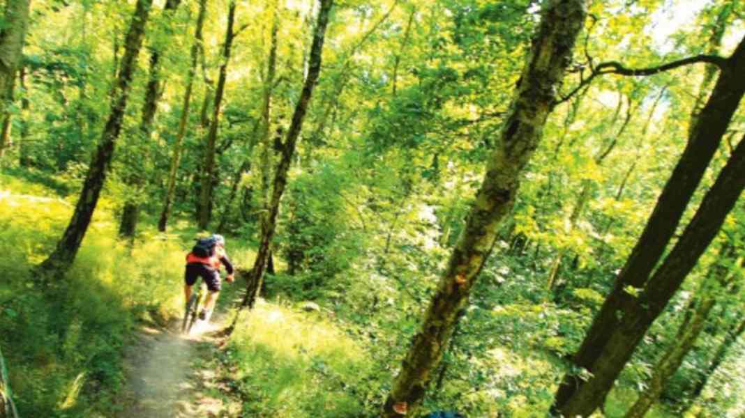 Bike-Spots im Pott: Hohensyburg