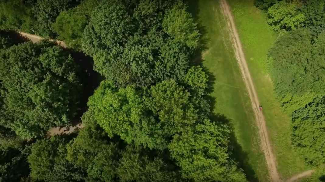 Enduro am Teufelsberg im Berliner Grunewald [Video]
