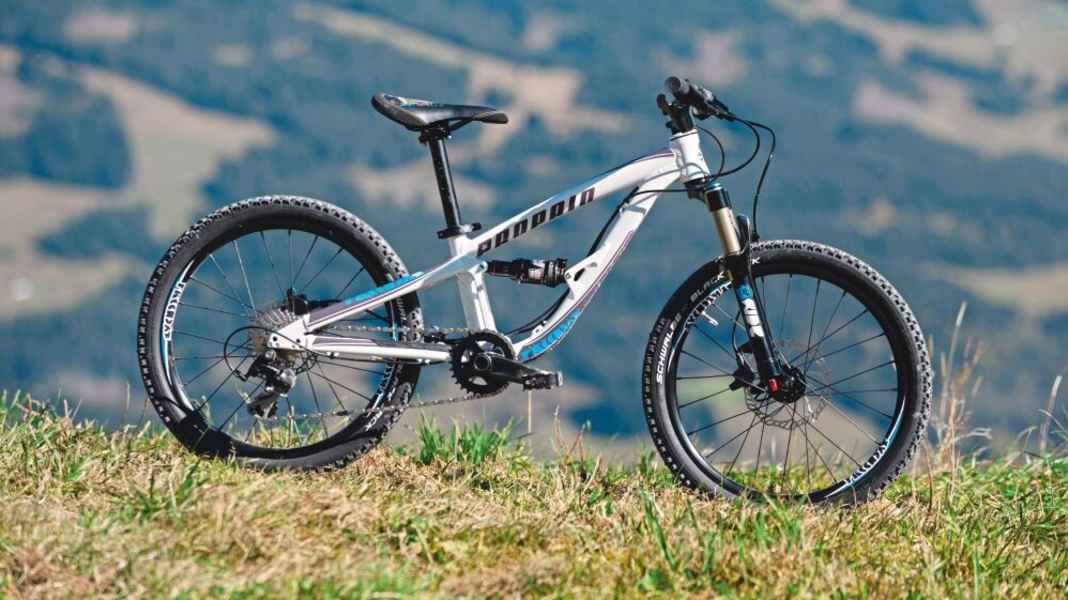 Propain Frechdax 3 - Kids bike on test