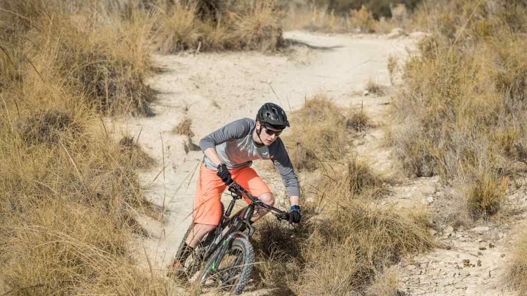 Bulls trail bike: 29 inch vs. plus tyres