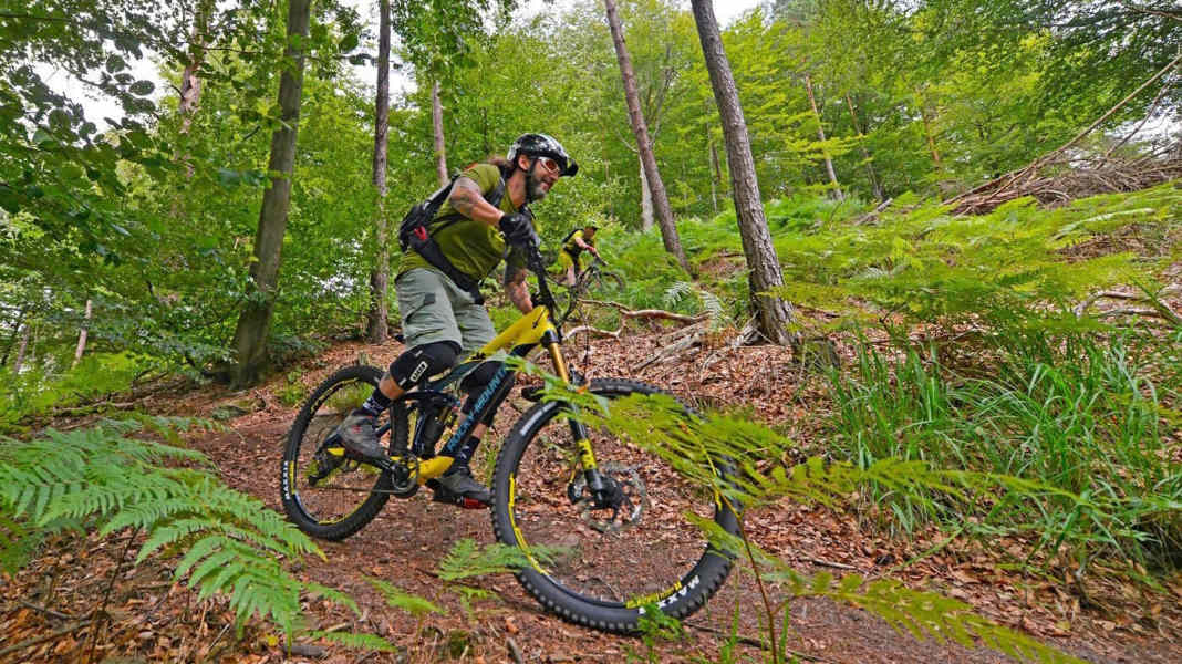 MTB-Park Pfälzerwald auf 900 Kilometer gewachsen
