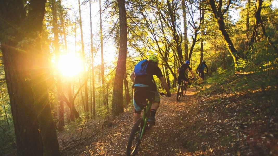 Czech Republic: New trail park in Lipno