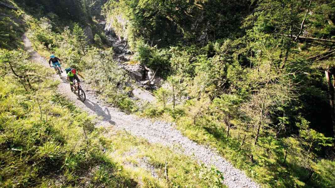 MTB tours in the Pyhrn-Priel region