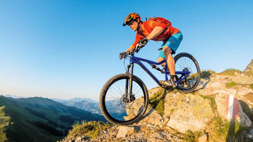 All Mountain: Rose Root Miller 1 on test