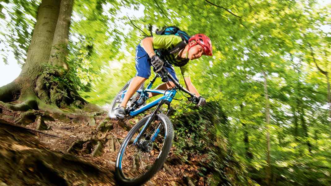 All Mountain: Bergamont Trailster 6.0 on test