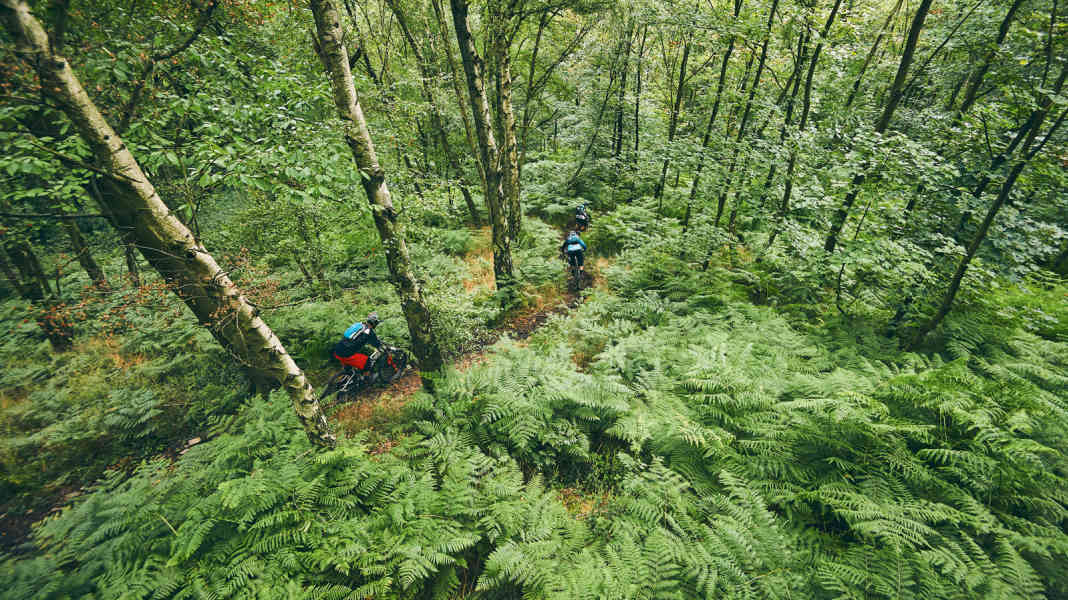 The best mountain bike spots in the centre of Germany