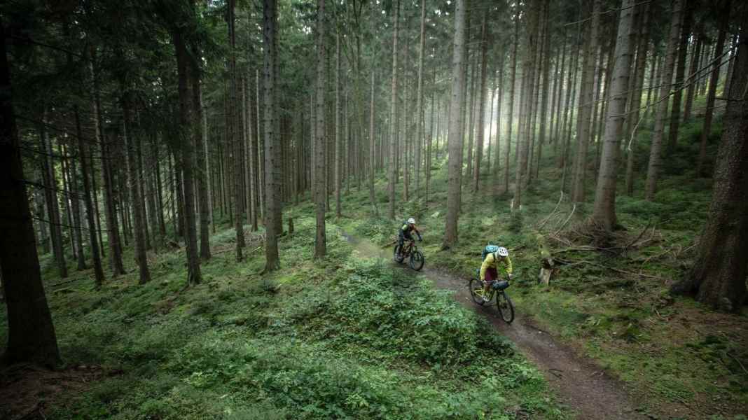 Germany Trail #1: From Thuringia to Hamburg - GPS download
