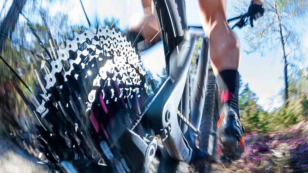 Bite on the bike: What can these 11-speed cassettes do?