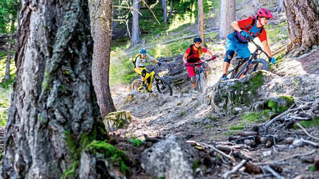 Rigid rear, powerful suspension: 8 hardtails on test