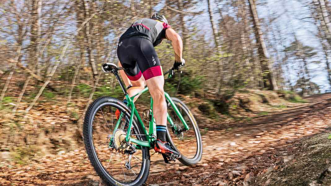 Hardtail: Orbea Alma M-LTD on test