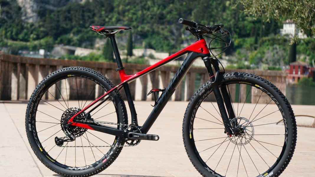Sophisticated race bike at a fair price