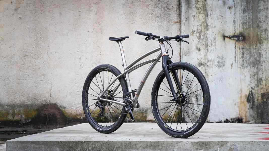 Already ridden: Rabbit Cycles MTB 29er Cruiser