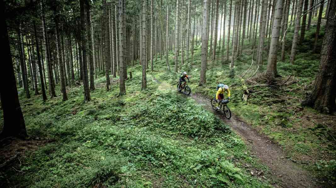 MTB trails in the wild Thuringian Forest