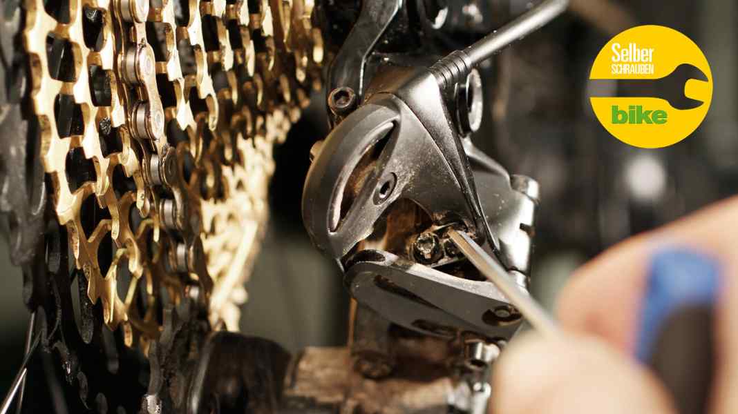 TECHNIK: Instructions: Adjusting the Sram 1x12 drivetrain