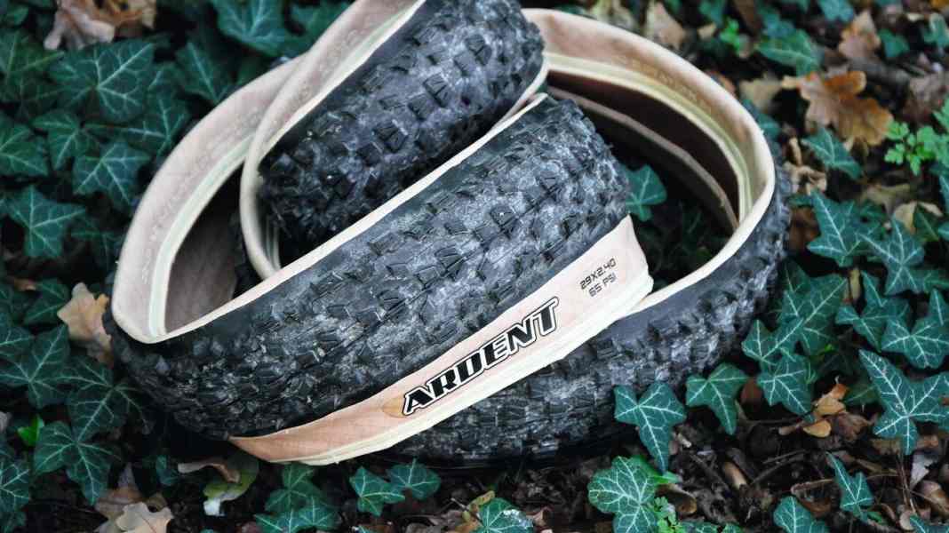 Correction: Maxxis Ardent Skinwall in BIKE 2/2019