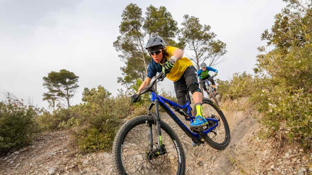 Four 140 mm suspension forks in a comparison test