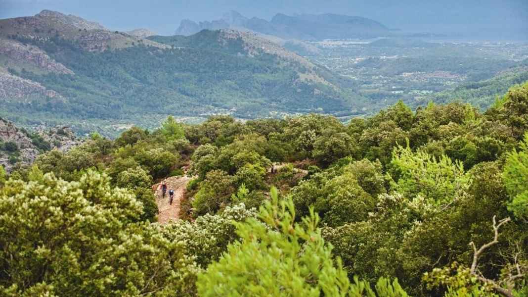 The 6 most popular islands for mountain bikers in a duel