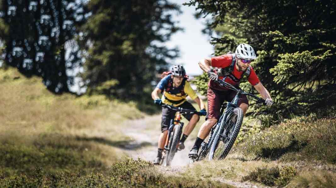 Best of test: The 10 best trail bikes of 2019