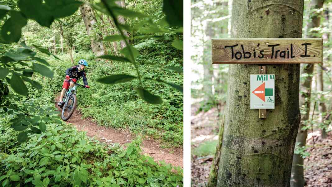 Top trails in the Bavarian Spessart [Download GPS data]