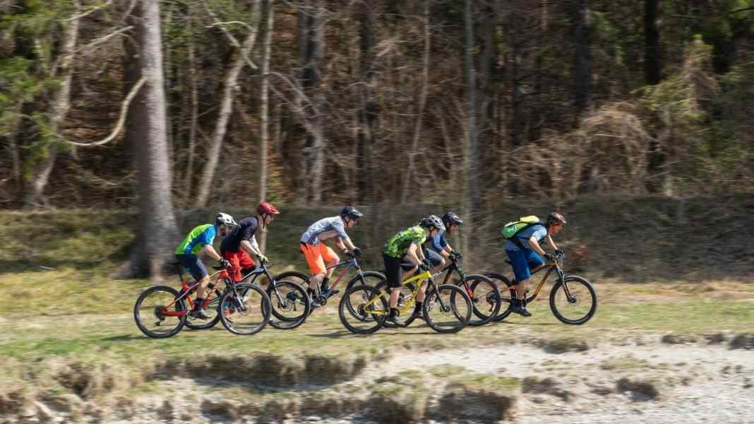 8 entry-level bikes of all categories compared
