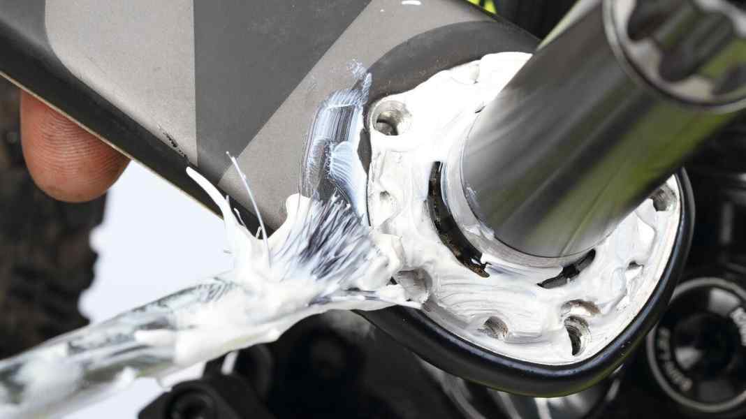 MTB parts: On cat's paws quietly through the forest