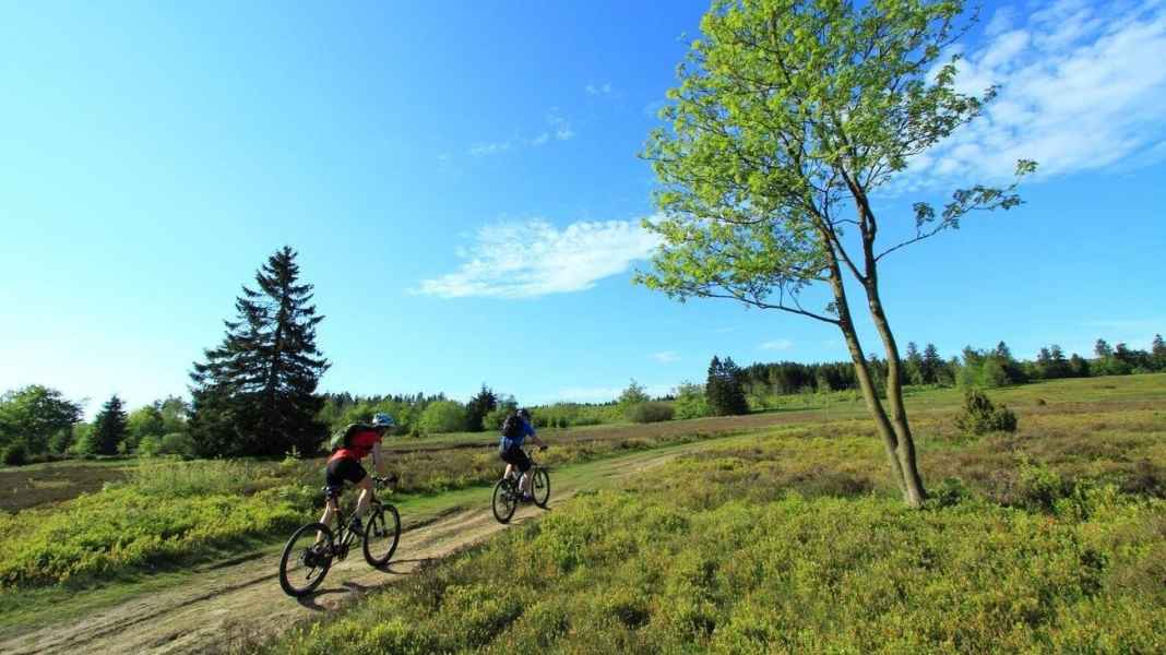 Seven MTB tours across German low mountain ranges