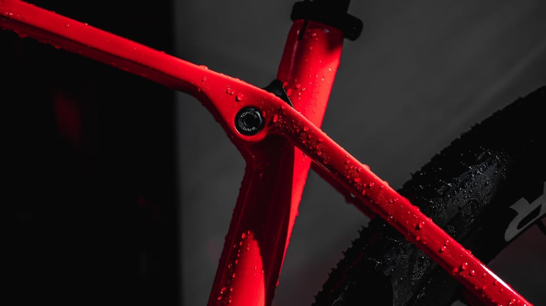 Ab 1750 Euro: das neue Trek Procaliber Hardtail
