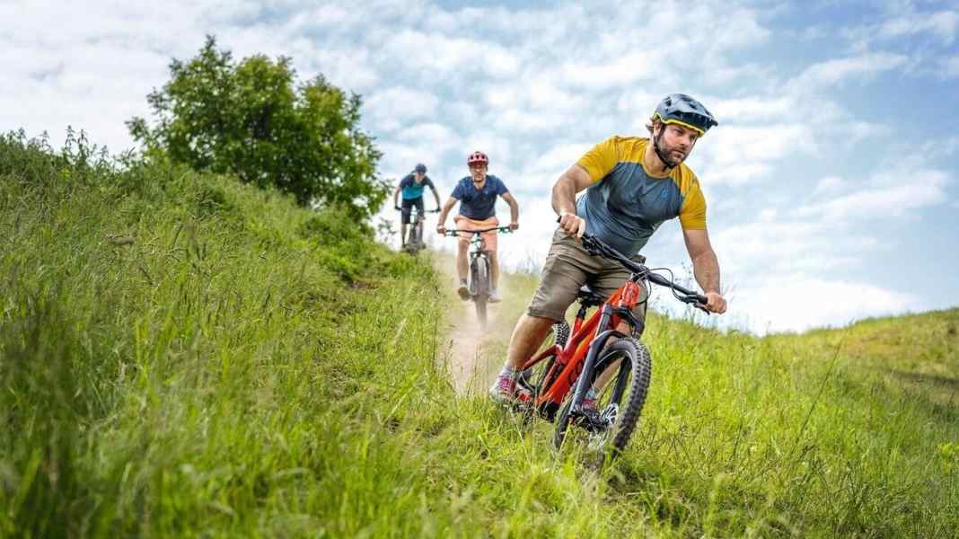 4 Duels: A tough comparison of entry-level bikes