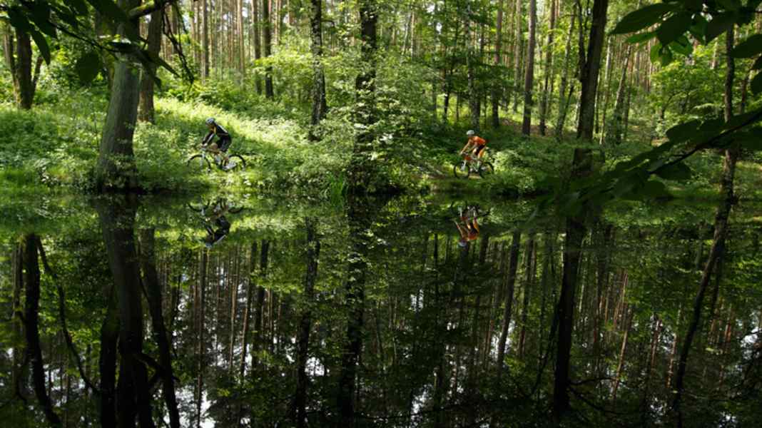 Germany: MTB-Revier Dresden