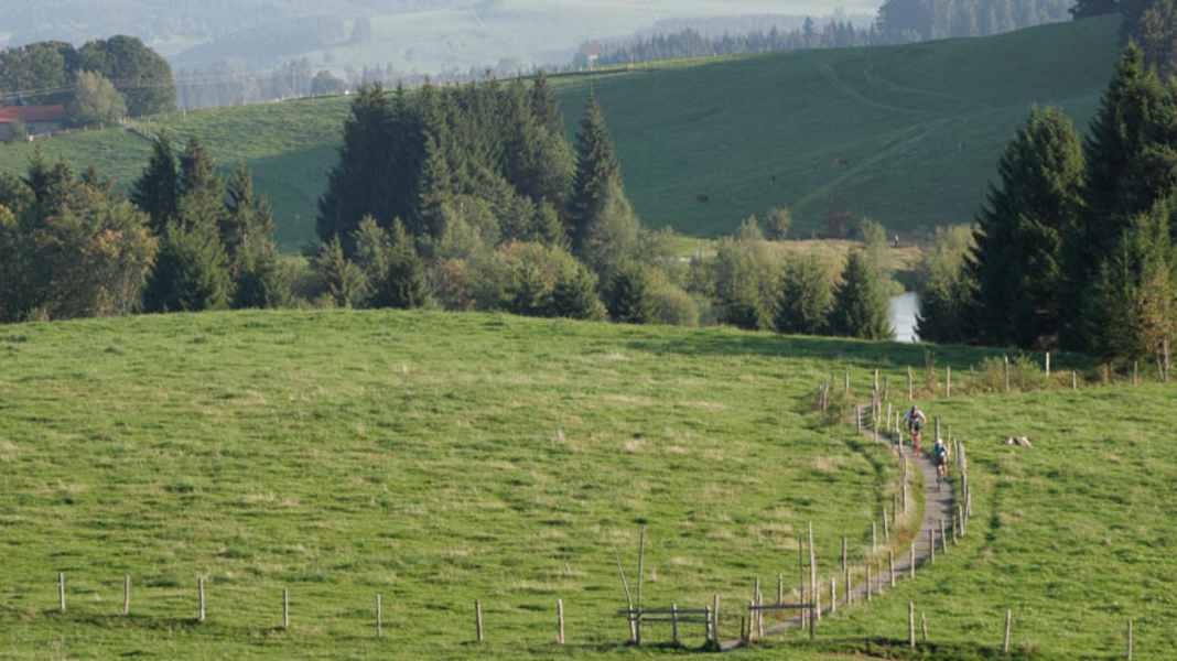 Alpine tours Germany: Allgäu - Black Ridge