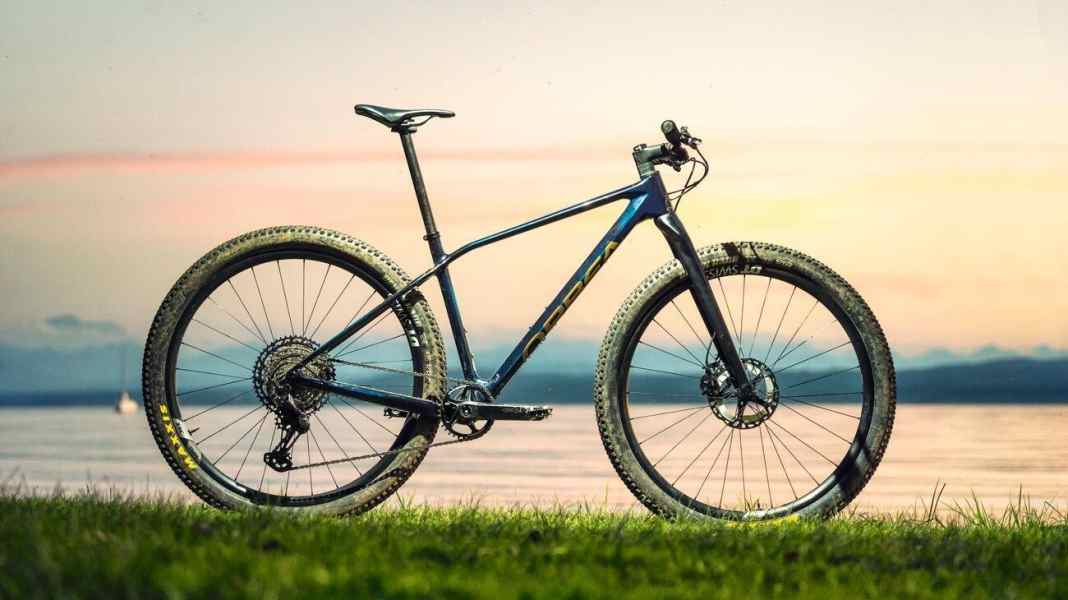 BIKE 11/20 - with these bikes in the test