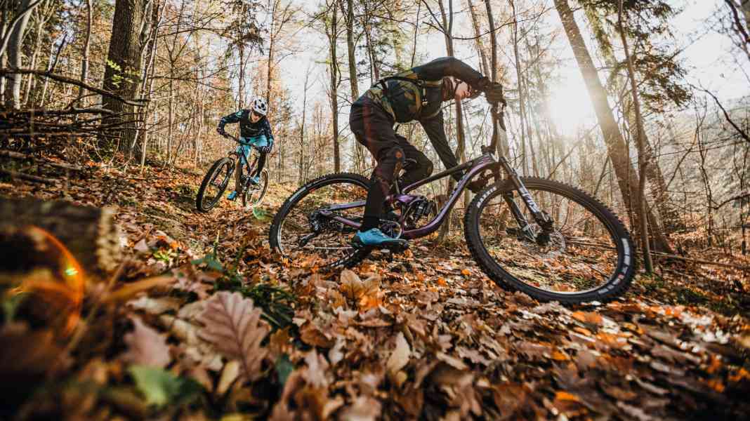 Alpha-Bikes: Die Top-Modelle von Giant und Kona