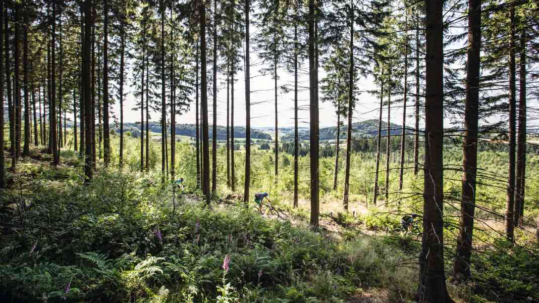 Mecca for mountain bikers: the Sauerland