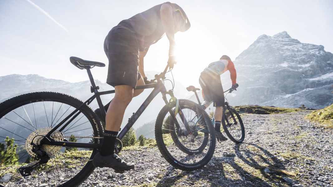 Wer baut das beste Einsteiger-Mountainbike 2021?