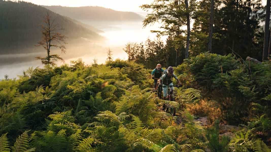 Top spot for E-MTB gourmets in the northern Black Forest