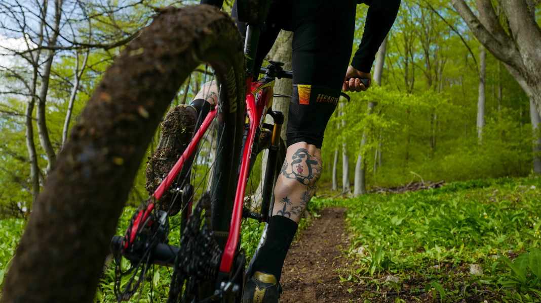 Full throttle, but relaxed