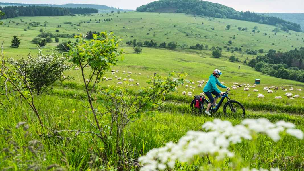Zwei Runden für Fortgeschrittene in der Bayerischen Rhön