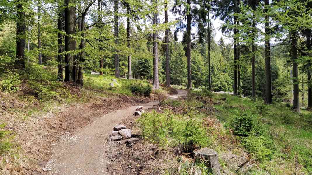 Bikepark Kornberg: Opponents want to sue