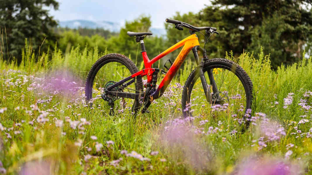 The green giant: Trek wants to rethink