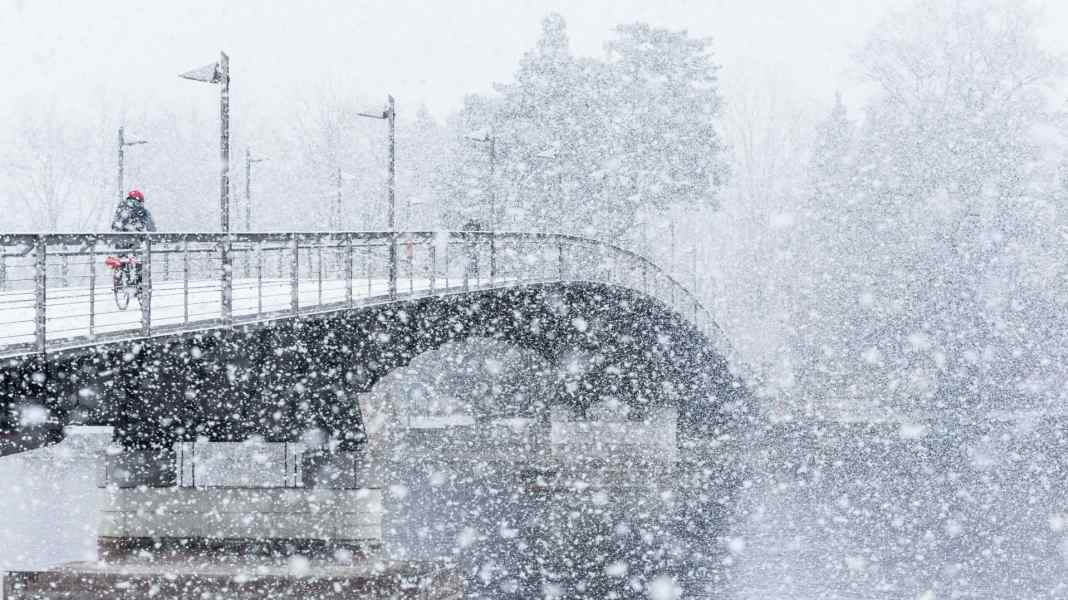 Winterfest