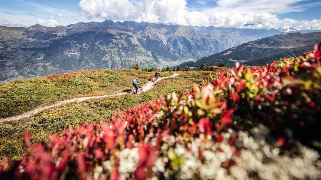 Col de Mille: Trail-Schmankerl an Mont-Blanc-Panorama