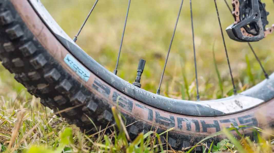 Reserve Fillmore tubeless valve - the luxury valve in the test