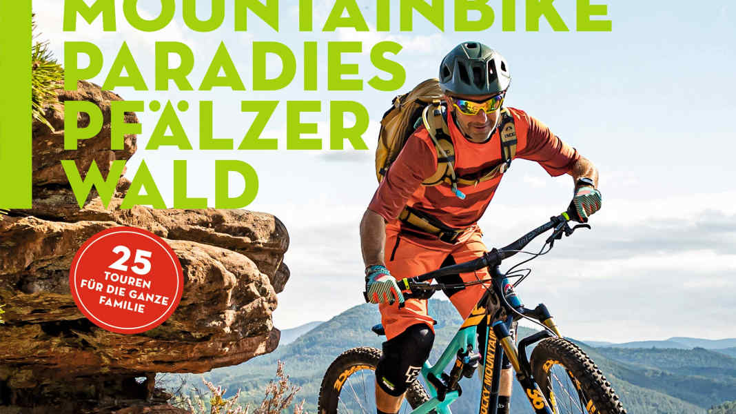 Palatinate Forest mountain bike paradise
