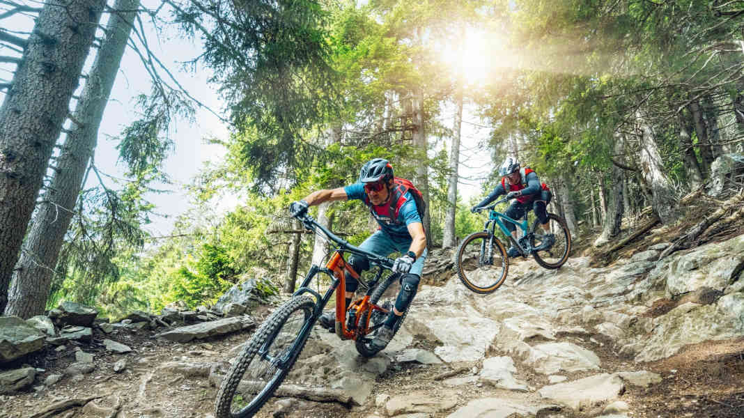 The mountain bike categories at a glance